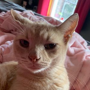 Meet your Posher, Kendra